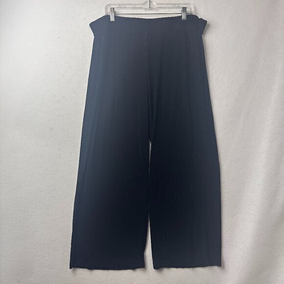 Chico's Travelers Wide Leg Pants size 3 short ( XL 16 18) Black Pull On slinky - Picture 1 of 4